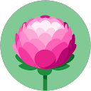 Karishma Rajpoot profile picture